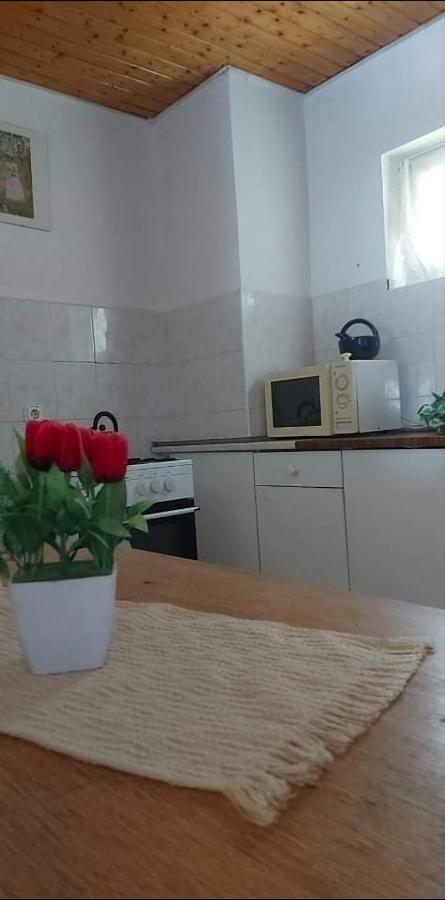 Hotel Badacsonyi Pihenes Privat Berlemeny Badacsonytomaj Exterior foto